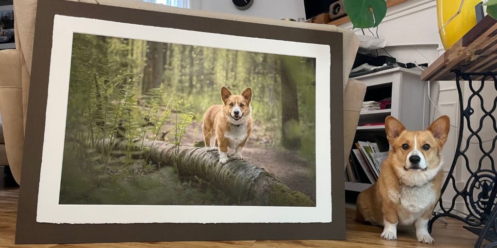 Basil, the Corgi standing next to wall art made from a picture of him